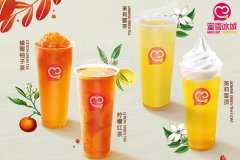 加盟蜜雪冰城品牌开店有什么保障